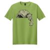 Softstyle ® T Shirt Thumbnail