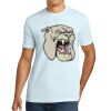 Apparel ® Unisex Cotton Tee Thumbnail