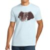 Apparel ® Unisex Cotton Tee Thumbnail