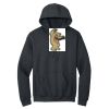 Heavy Blend Hooded Sweatshirt Thumbnail